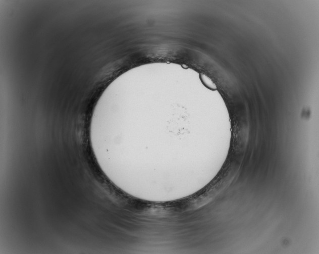 X0000102370416200808291253