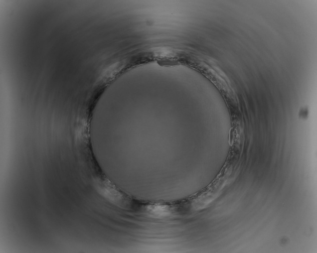 X0000102370419200808291253
