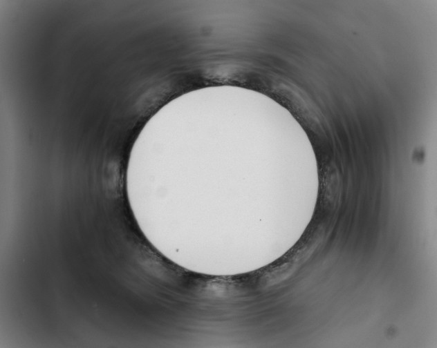X0000102370420200808291253