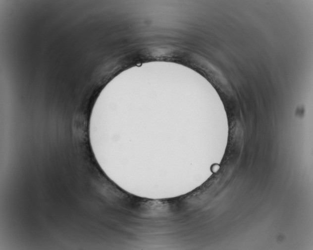 X0000102370421200808291253