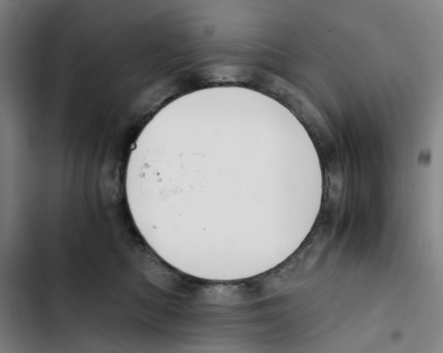 X0000102370422200808291253