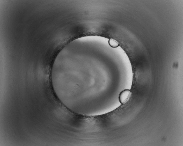 X0000102370423200808291253
