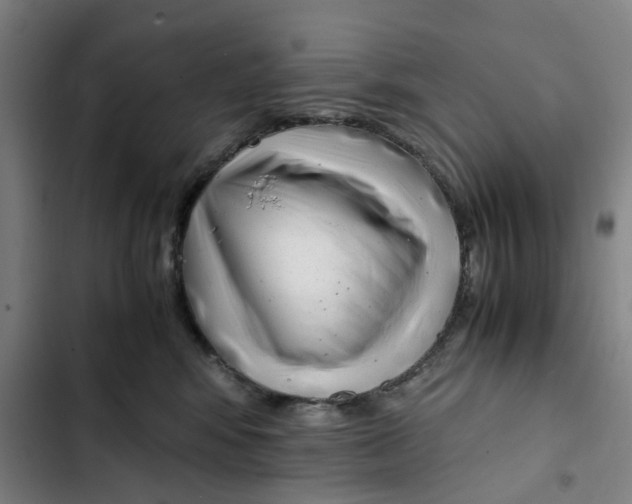 X0000102370424200808291253