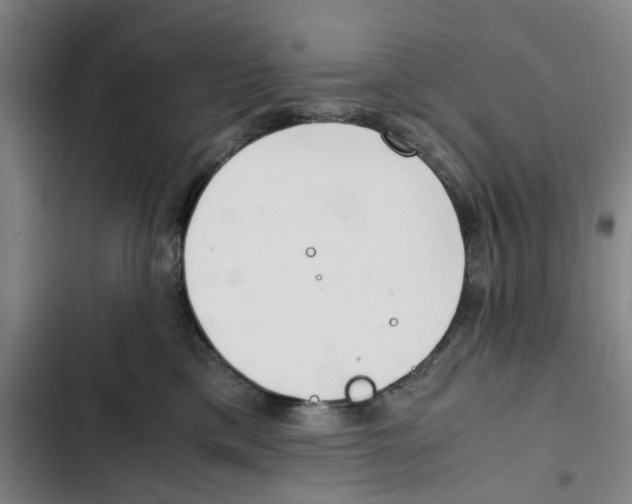 X0000102370425200808291253