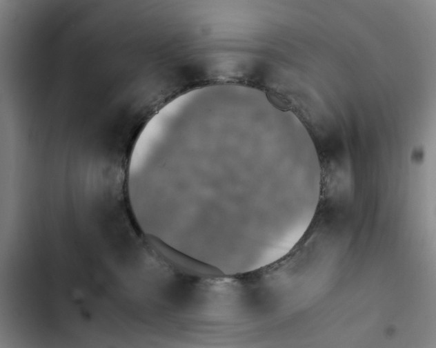 X0000102370427200808291253