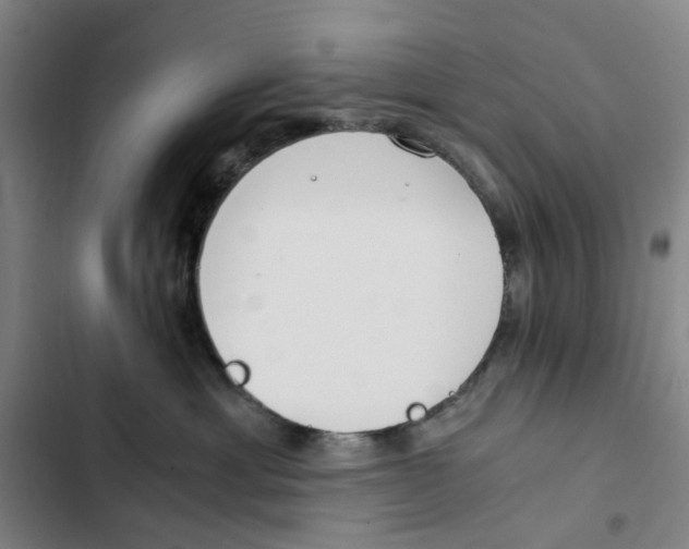 X0000102370429200808291253
