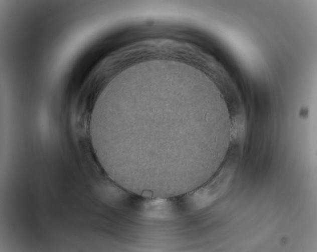 X0000102370431200808291253