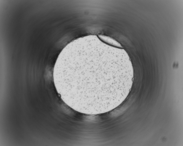 X0000102370432200808291253