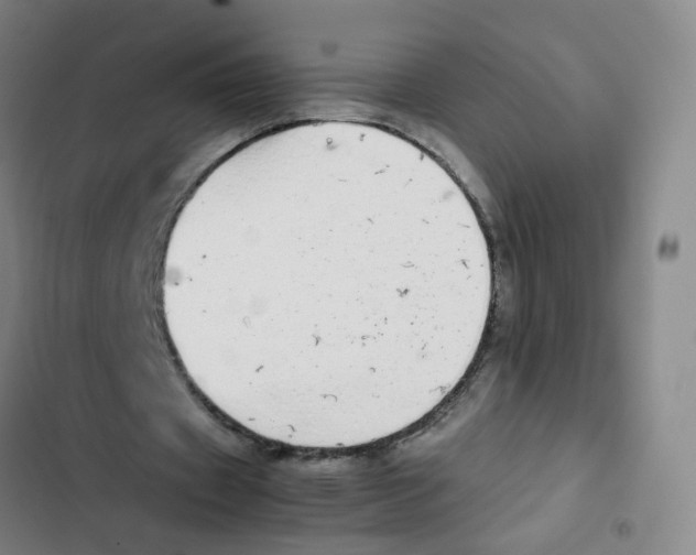 X0000102370433200808291252