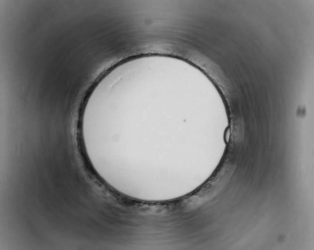 X0000102370434200808291252