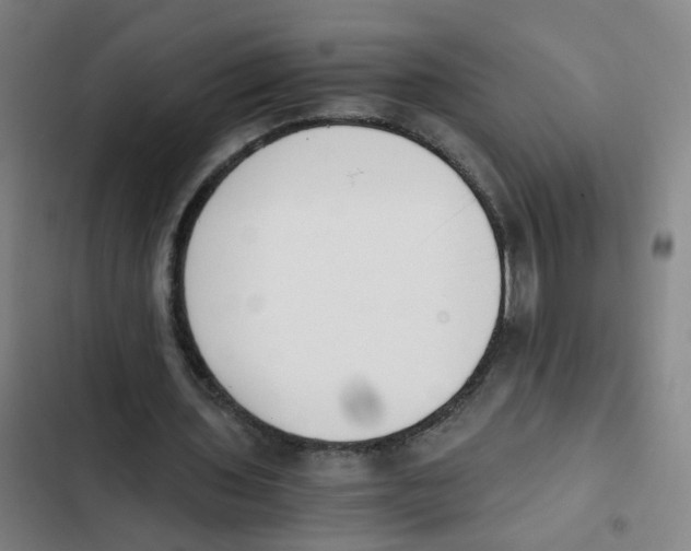 X0000102370435200808291252
