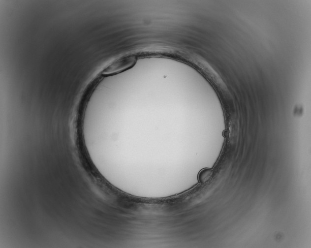 X0000102370436200808291252
