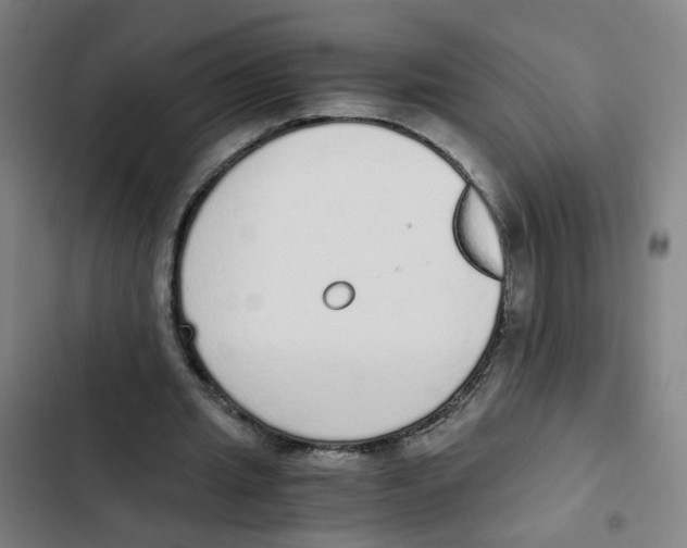 X0000102370437200808291252
