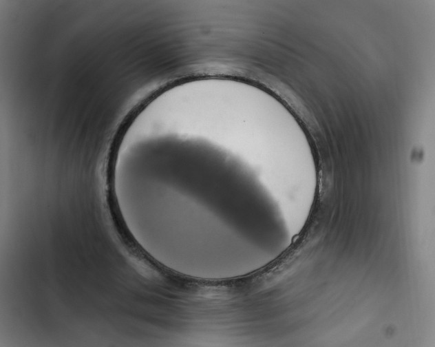 X0000102370438200808291252