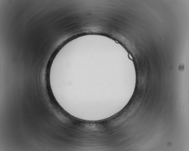 X0000102370439200808291252