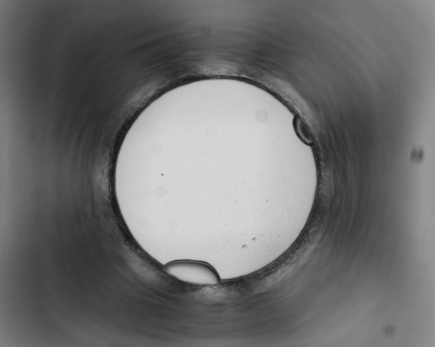 X0000102370441200808291253