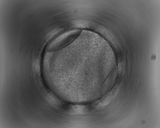 X0000102370444200808291253