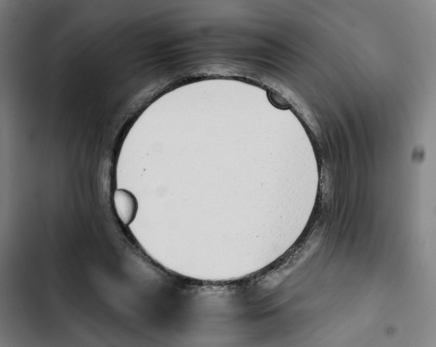 X0000102370445200808291253