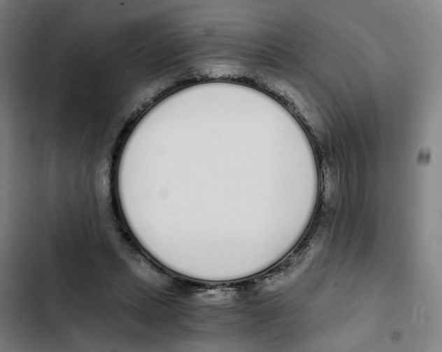 X0000102370447200808291253
