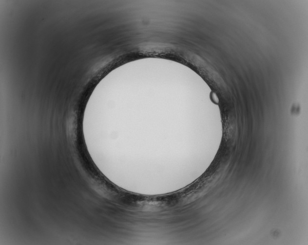 X0000102370448200808291253