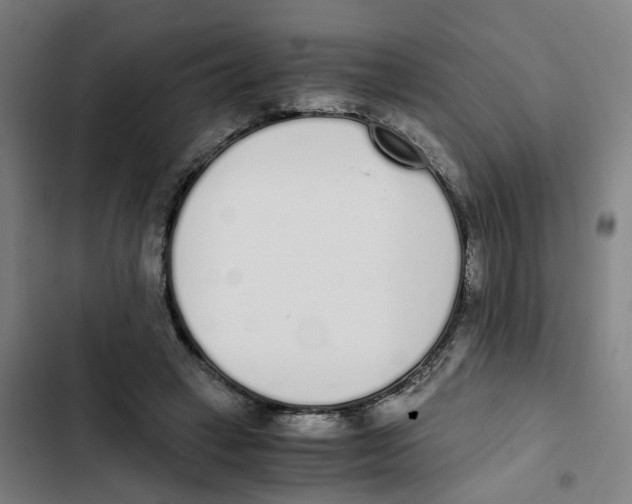 X0000102370449200808291253