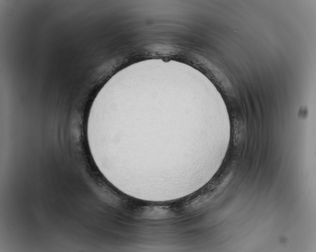 X0000102370451200808291253
