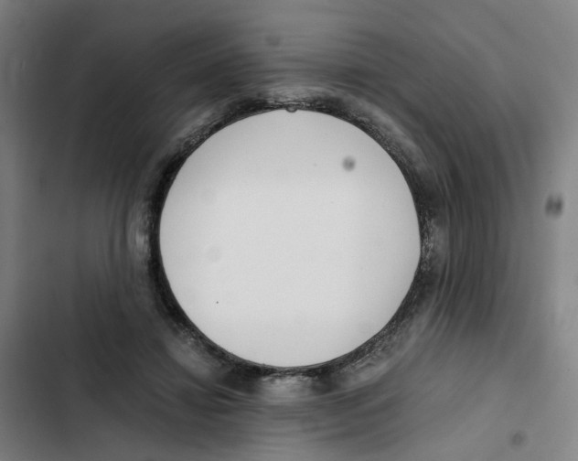 X0000102370452200808291253