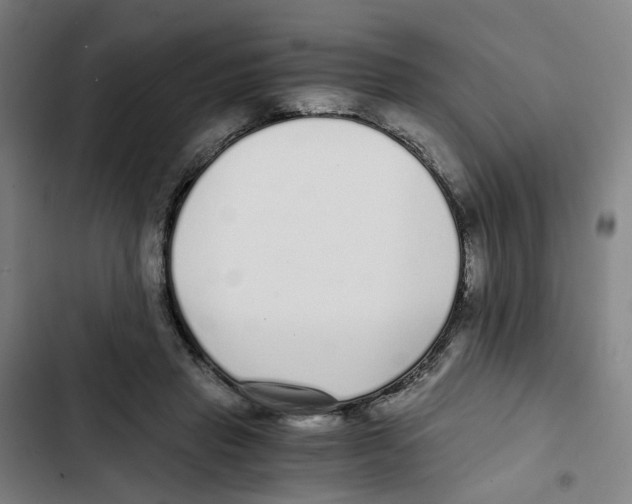 X0000102370453200808291253