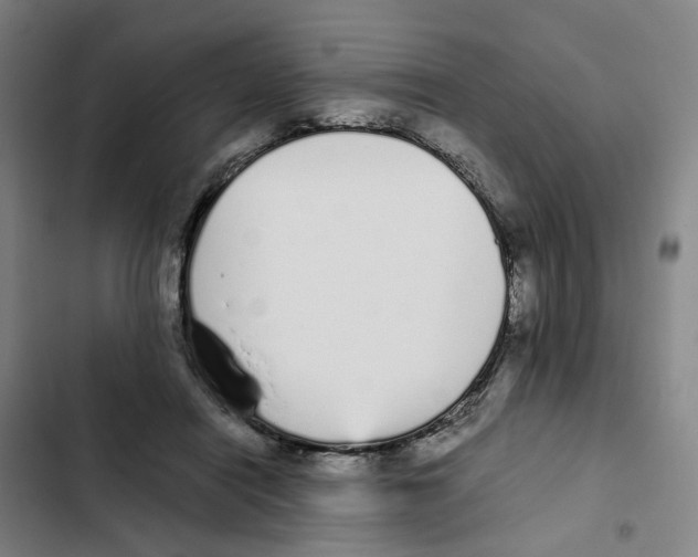 X0000102370454200808291253