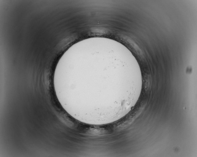 X0000102370455200808291253