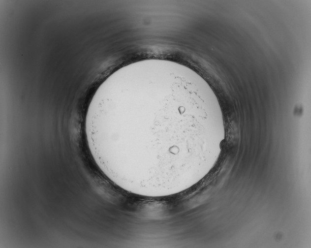 X0000102370456200808291253