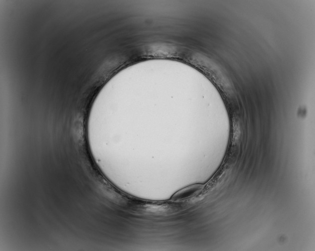 X0000102370457200808291253