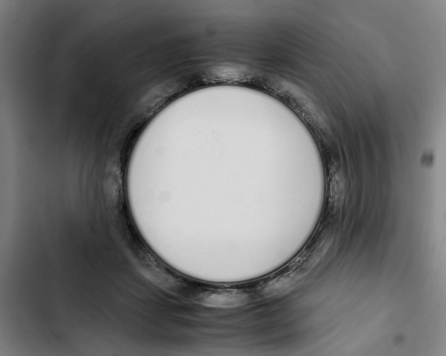 X0000102370459200808291253