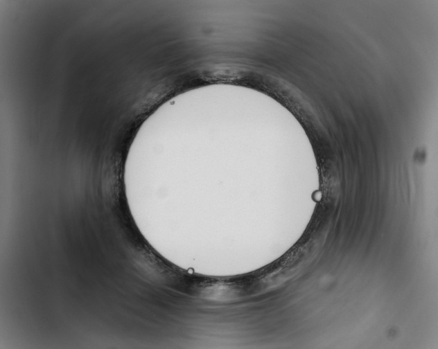 X0000102370460200808291253
