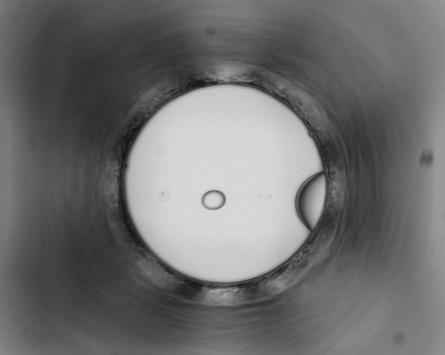X0000102370461200808291253