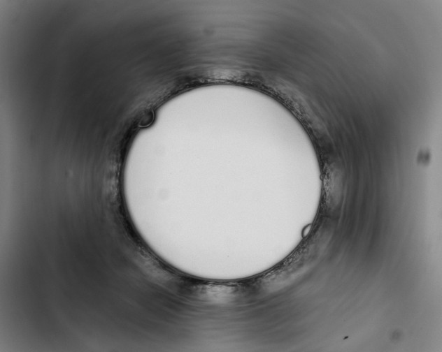 X0000102370462200808291253