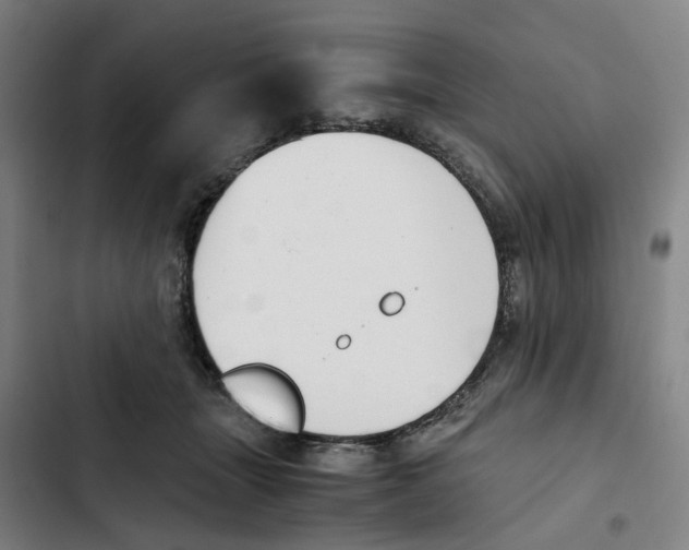 X0000102370463200808291253