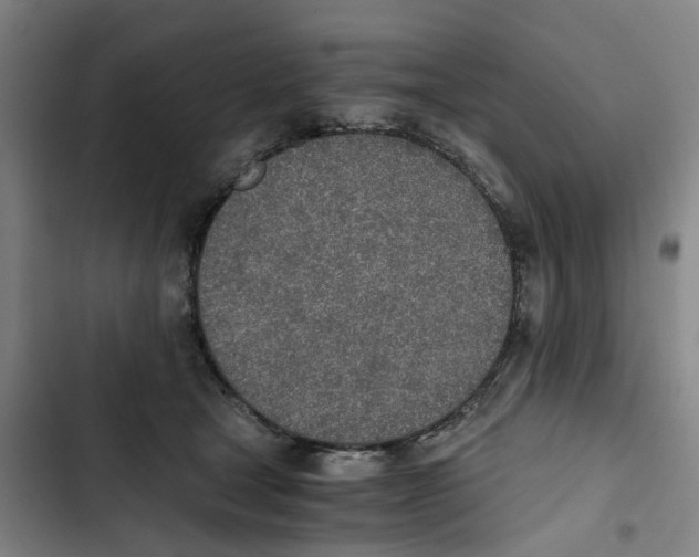 X0000102370465200808291253