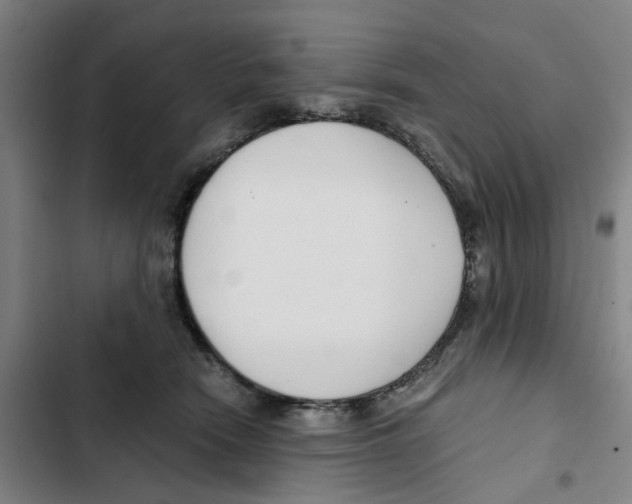 X0000102370466200808291253