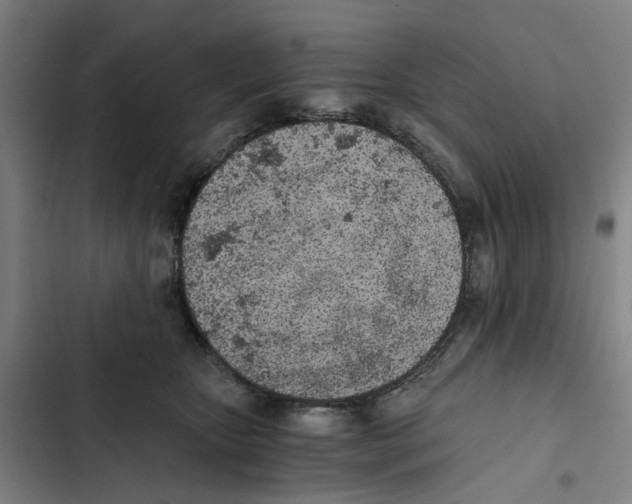 X0000102370467200808291253