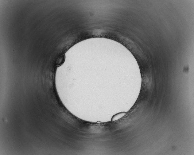 X0000102370470200808291253