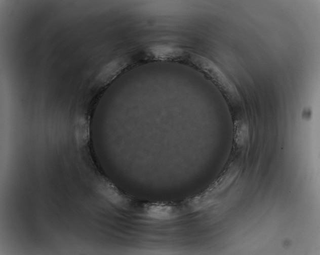 X0000102370471200808291253