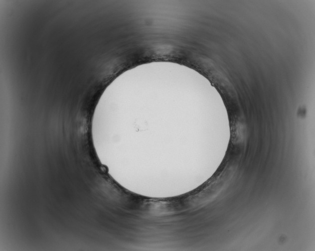 X0000102370472200808291253