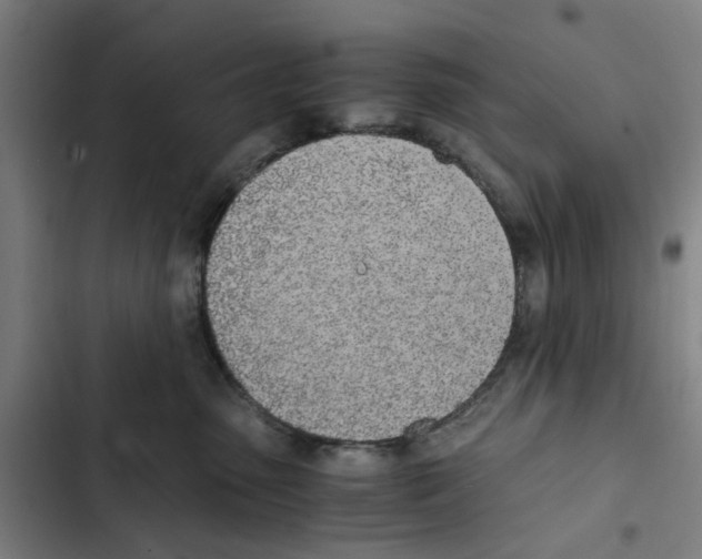 X0000102370475200808291253