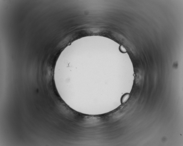 X0000102370476200808291253