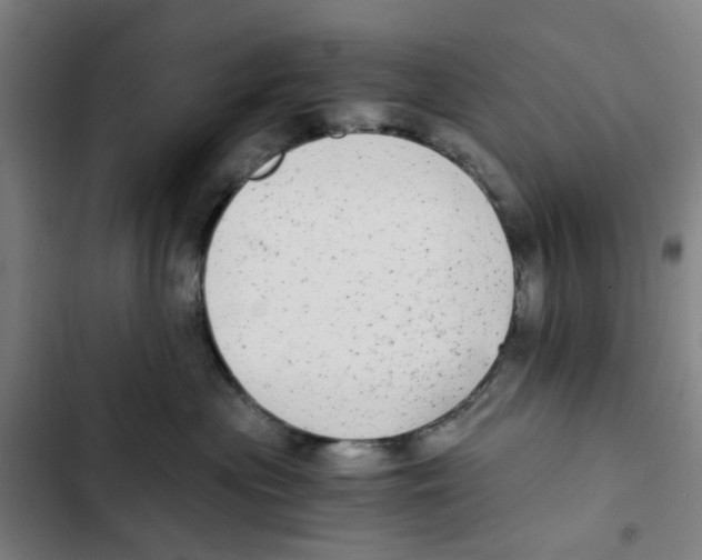 X0000102370477200808291253