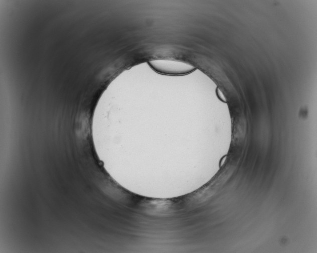 X0000102370478200808291253