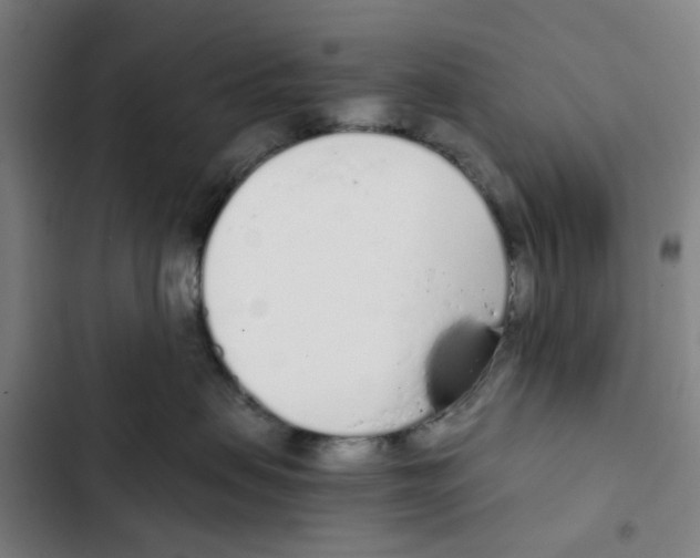 X0000102370479200808291253