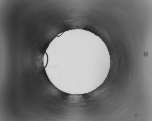 X0000102370480200808291253