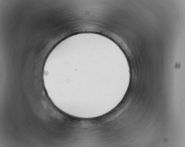 X0000102370481200808291252
